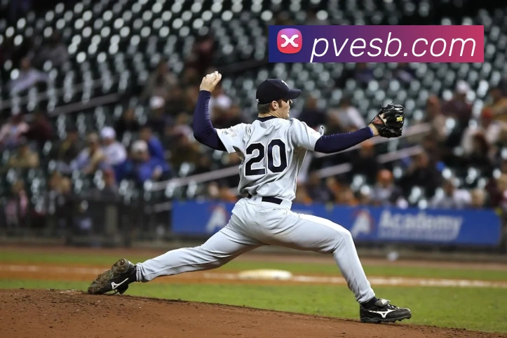对战数据统计